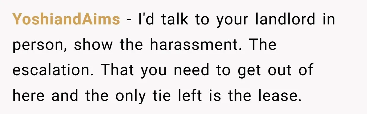 YoshiandAims − I'd talk to your landlord in person, show the harassment. The escalation. That you need to get out of here and the only tie left is the lease.