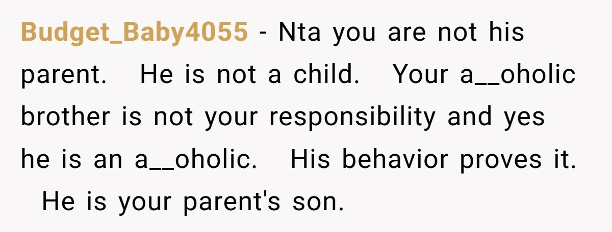 Budget_Baby4055 − Nta you are not his parent. He is not a child. Your a__oholic brother is not your responsibility and yes he is an a__oholic. His behavior proves it....