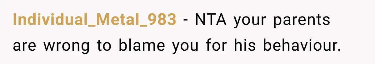 Individual_Metal_983 − NTA your parents are wrong to blame you for his behaviour.