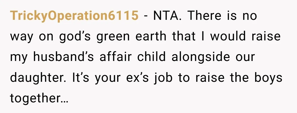 TrickyOperation6115 − NTA. There is no way on god’s green earth that I would raise my husband’s affair child alongside our daughter. It’s your ex’s job to raise the boys...