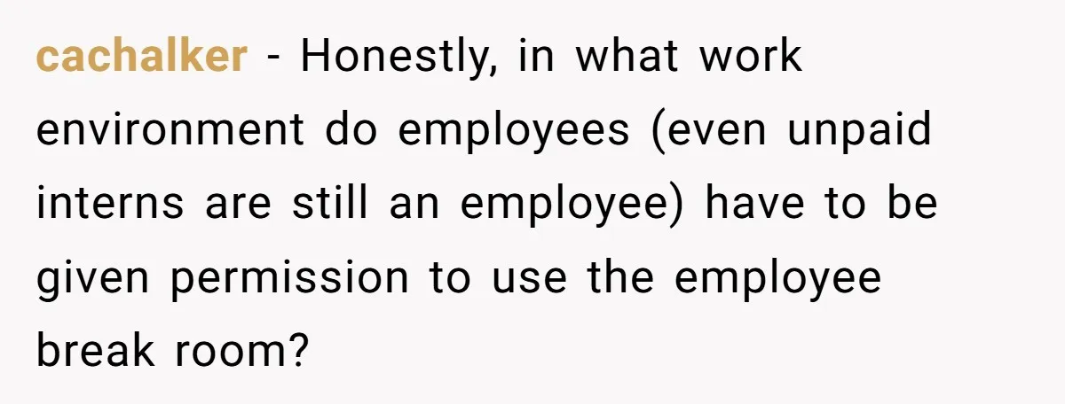 cachalker − Honestly, in what work environment do employees (even unpaid interns are still an employee) have to be given permission to use the employee break room?