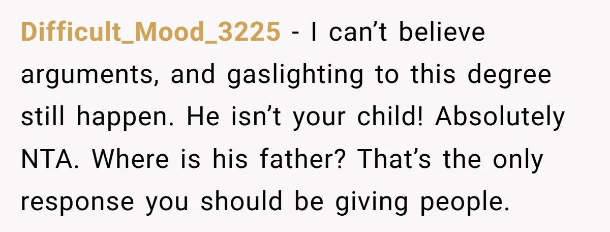 Difficult_Mood_3225 − I can’t believe arguments, and gaslighting to this degree still happen. He isn’t your child! Absolutely NTA. Where is his father? That’s the only response you should be...