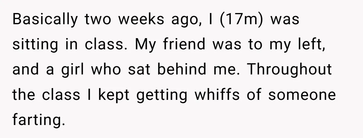 Basically two weeks ago, I (17m) was sitting in class. My friend was to my left, and a girl who sat behind me. Throughout the class I kept getting whiffs...