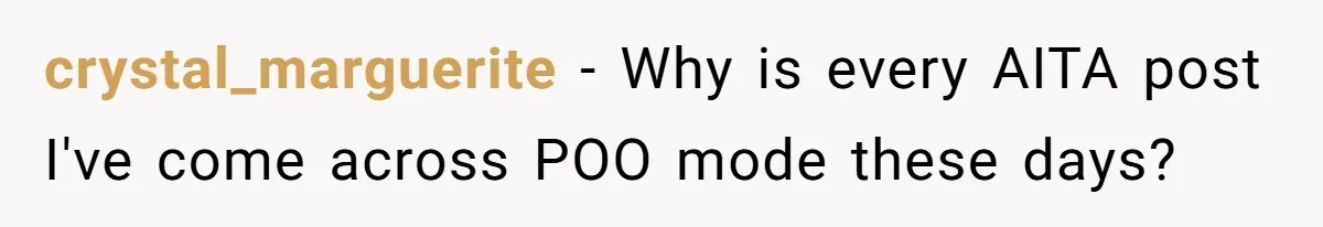 crystal_marguerite − Why is every AITA post I've come across POO mode these days?