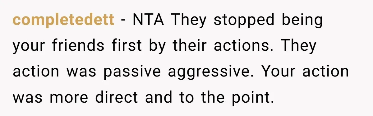completedett − NTA They stopped being your friends first by their actions. They action was passive aggressive. Your action was more direct and to the point.
