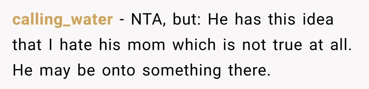 calling_water − NTA, but: He has this idea that I hate his mom which is not true at all. He may be onto something there.