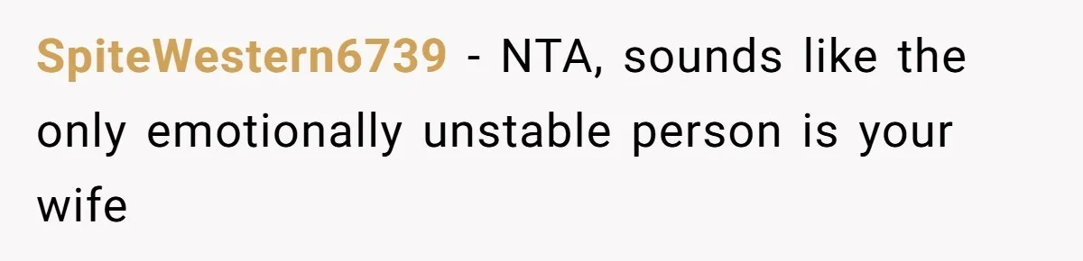 SpiteWestern6739 − NTA, sounds like the only emotionally unstable person is your wife