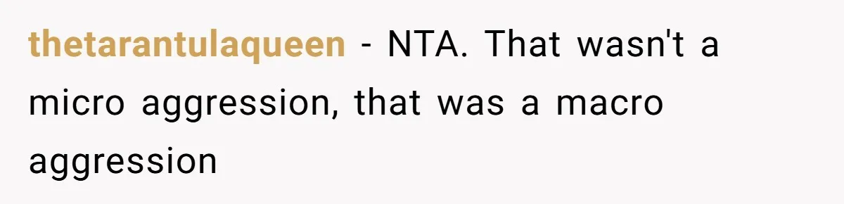 thetarantulaqueen − NTA. That wasn't a micro aggression, that was a macro aggression