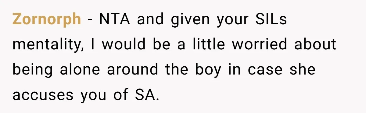 Zornorph − NTA and given your SILs mentality, I would be a little worried about being alone around the boy in case she accuses you of SA.