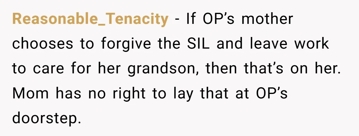 Reasonable_Tenacity − If OP’s mother chooses to forgive the SIL and leave work to care for her grandson, then that’s on her. Mom has no right to lay that at...