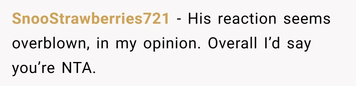SnooStrawberries721 − His reaction seems overblown, in my opinion. Overall I’d say you’re NTA.