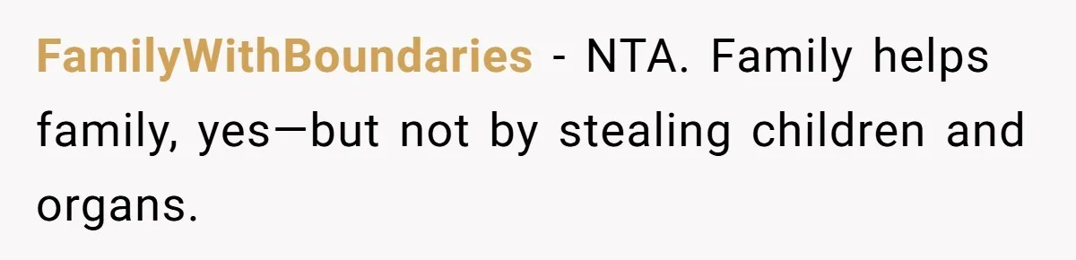 FamilyWithBoundaries - NTA. Family helps family, yes—but not by stealing children and organs.