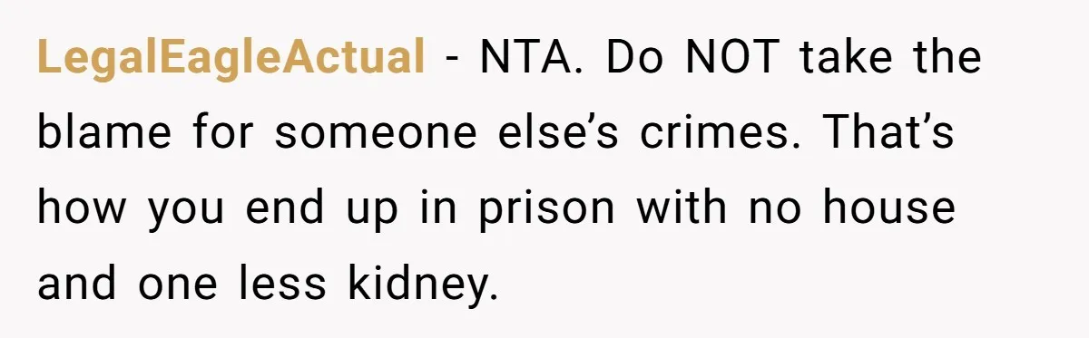 LegalEagleActual - NTA. Do NOT take the blame for someone else’s crimes. That’s how you end up in prison with no house and one less kidney.