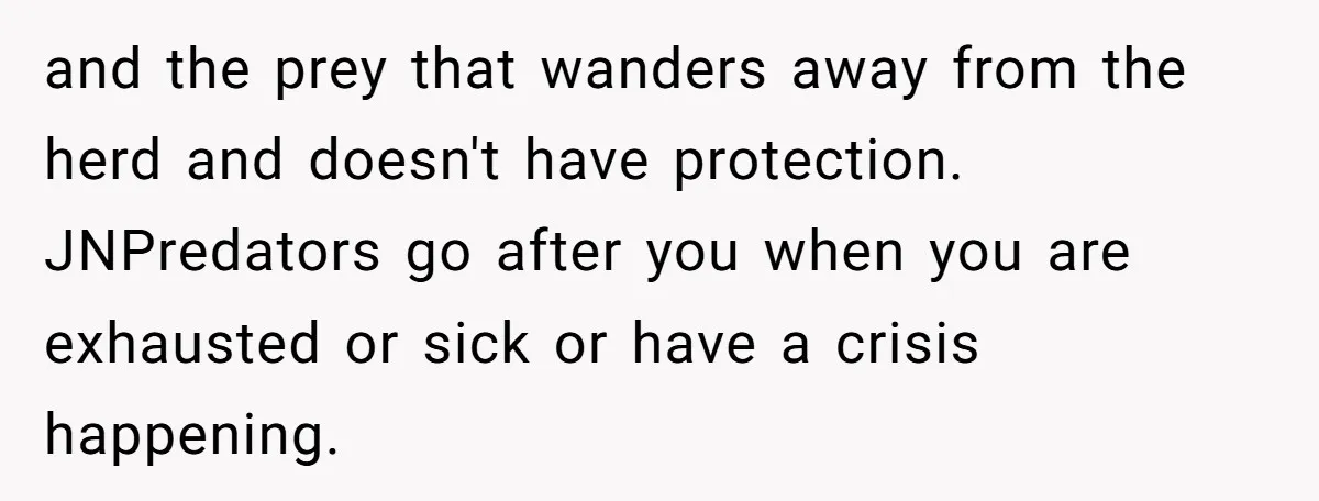 and the prey that wanders away from the herd and doesn't have protection. JNPredators go after you when you are exhausted or sick or have a crisis happening.