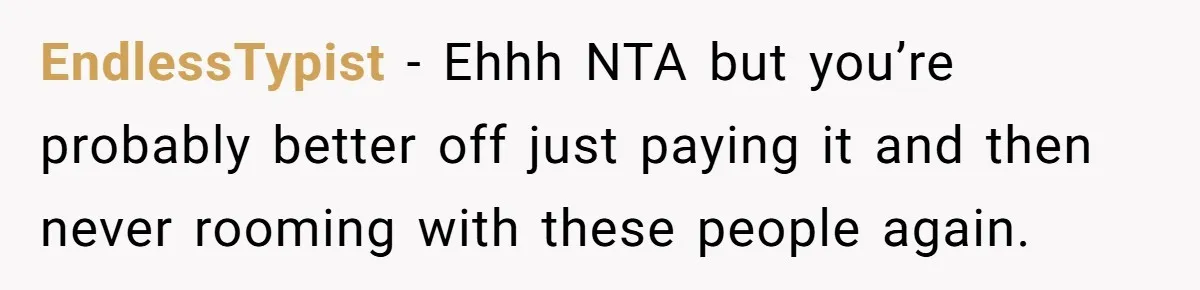 EndlessTypist − Ehhh NTA but you’re probably better off just paying it and then never rooming with these people again.