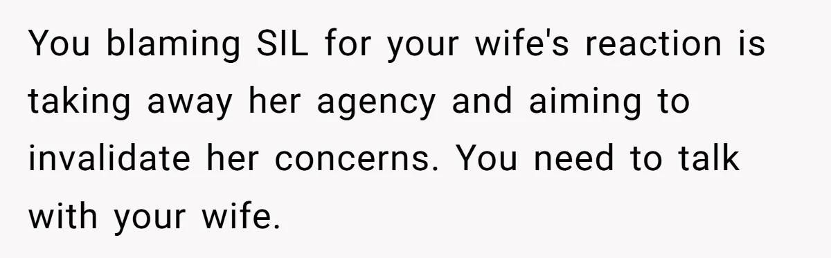 You blaming SIL for your wife's reaction is taking away her agency and aiming to invalidate her concerns. You need to talk with your wife.