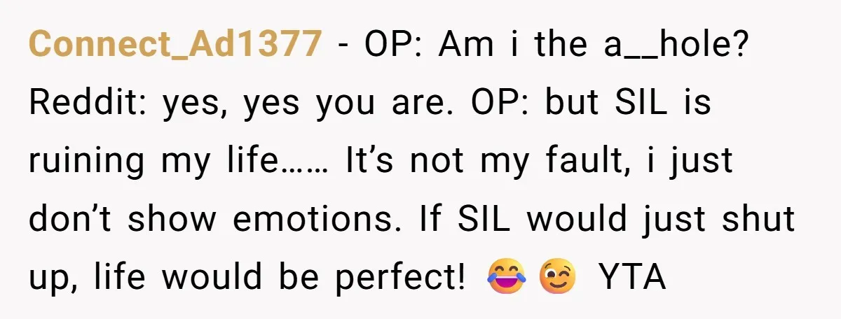 Connect_Ad1377 − OP: Am i the a__hole? Reddit: yes, yes you are. OP: but SIL is ruining my life…… It’s not my fault, i just don’t show emotions. If SIL...