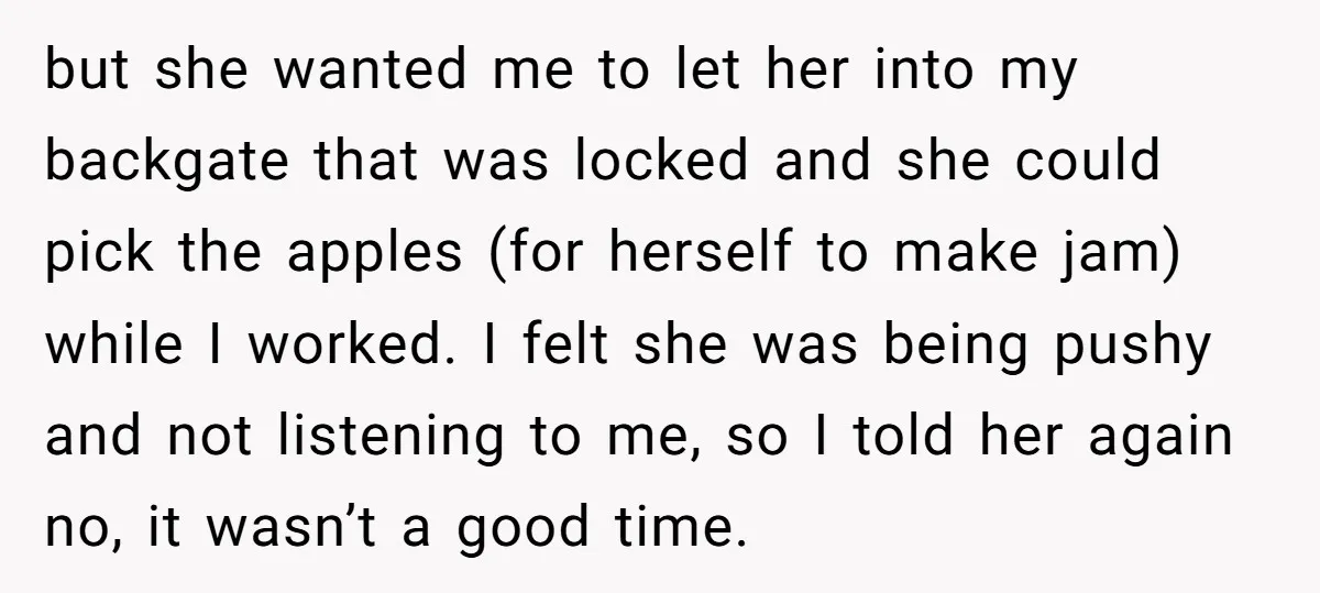 but she wanted me to let her into my backgate that was locked and she could pick the apples (for herself to make jam) while I worked. I felt she...