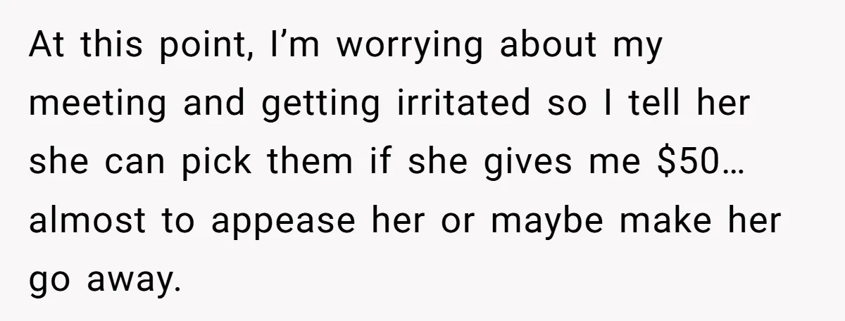 At this point, I’m worrying about my meeting and getting irritated so I tell her she can pick them if she gives me $50… almost to appease her or maybe...