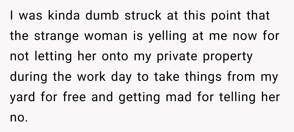 I was kinda dumb struck at this point that the strange woman is yelling at me now for not letting her onto my private property during the work day to...