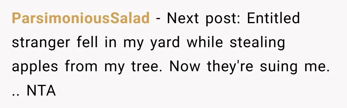 ParsimoniousSalad − Next post: Entitled stranger fell in my yard while stealing apples from my tree. Now they're suing me. .. NTA