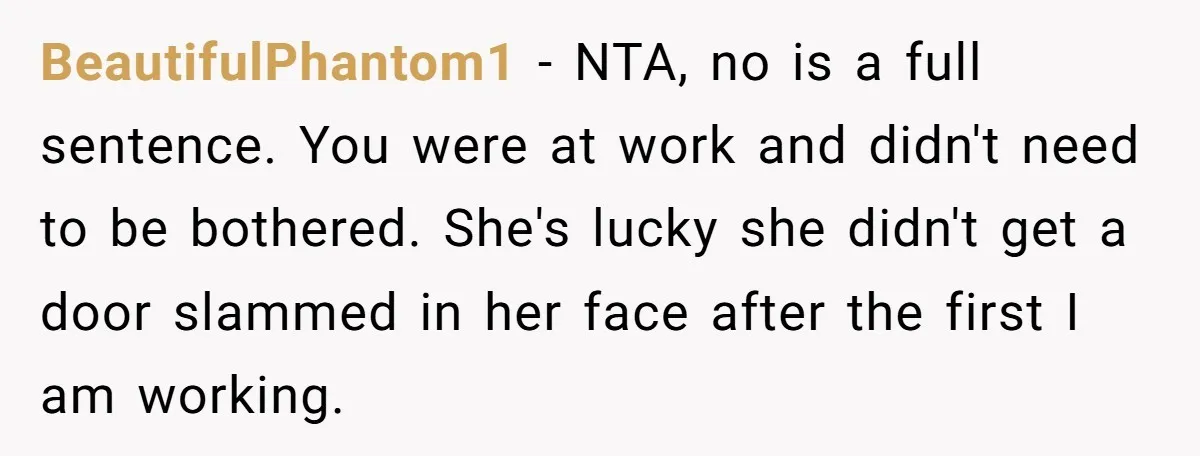 BeautifulPhantom1 − NTA, no is a full sentence. You were at work and didn't need to be bothered. She's lucky she didn't get a door slammed in her face after...