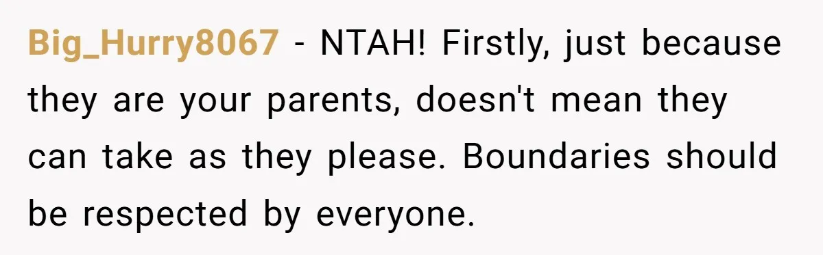 Big_Hurry8067 − NTAH! Firstly, just because they are your parents, doesn't mean they can take as they please. Boundaries should be respected by everyone.