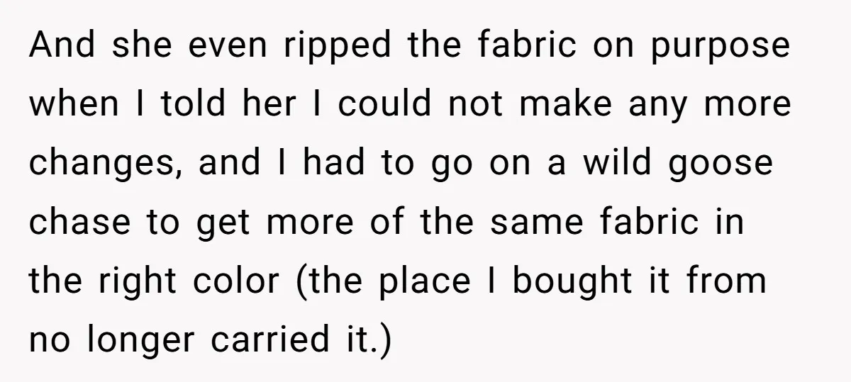 And she even ripped the fabric on purpose when I told her I could not make any more changes, and I had to go on a wild goose chase to...