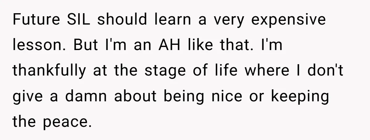 Future SIL should learn a very expensive lesson. But I'm an AH like that. I'm thankfully at the stage of life where I don't give a damn about being nice...