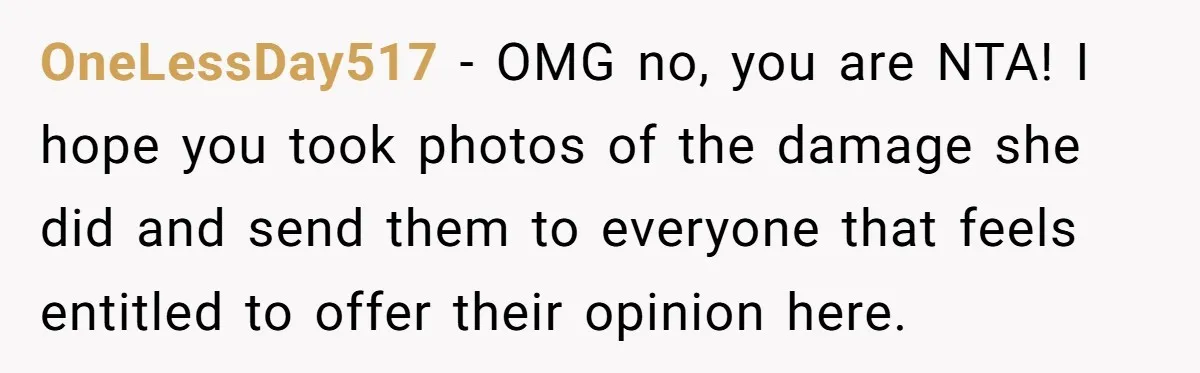 OneLessDay517 − OMG no, you are NTA! I hope you took photos of the damage she did and send them to everyone that feels entitled to offer their opinion here.