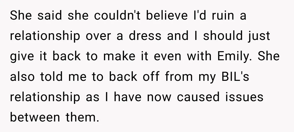She said she couldn't believe I'd ruin a relationship over a dress and I should just give it back to make it even with Emily. She also told me to...