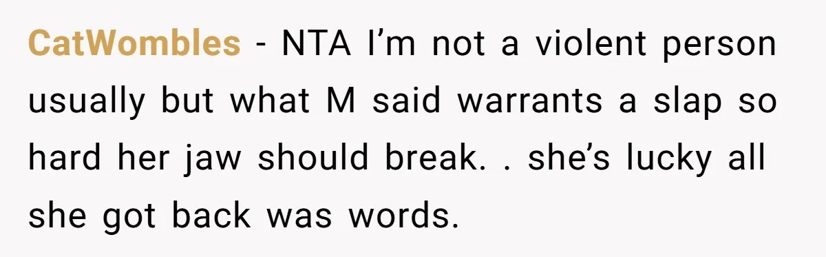 CatWombles − NTA I’m not a violent person usually but what M said warrants a slap so hard her jaw should break. . she’s lucky all she got back was...