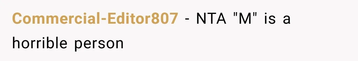 Commercial-Editor807 − NTA "M" is a horrible person