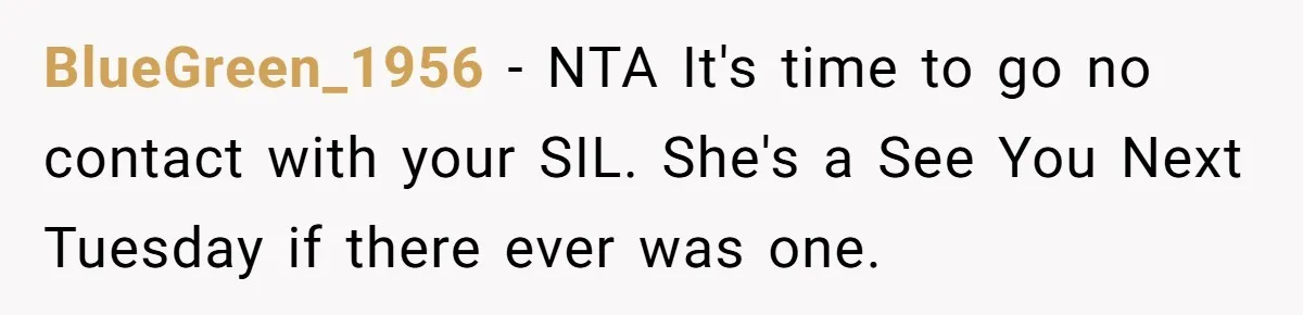 BlueGreen_1956 − NTA It's time to go no contact with your SIL. She's a See You Next Tuesday if there ever was one.