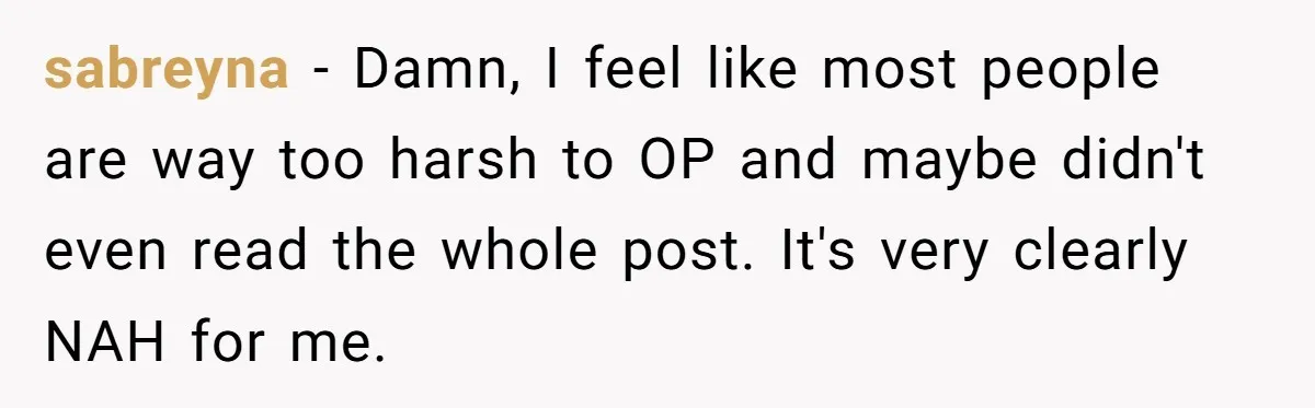 sabreyna − Damn, I feel like most people are way too harsh to OP and maybe didn't even read the whole post. It's very clearly NAH for me.
