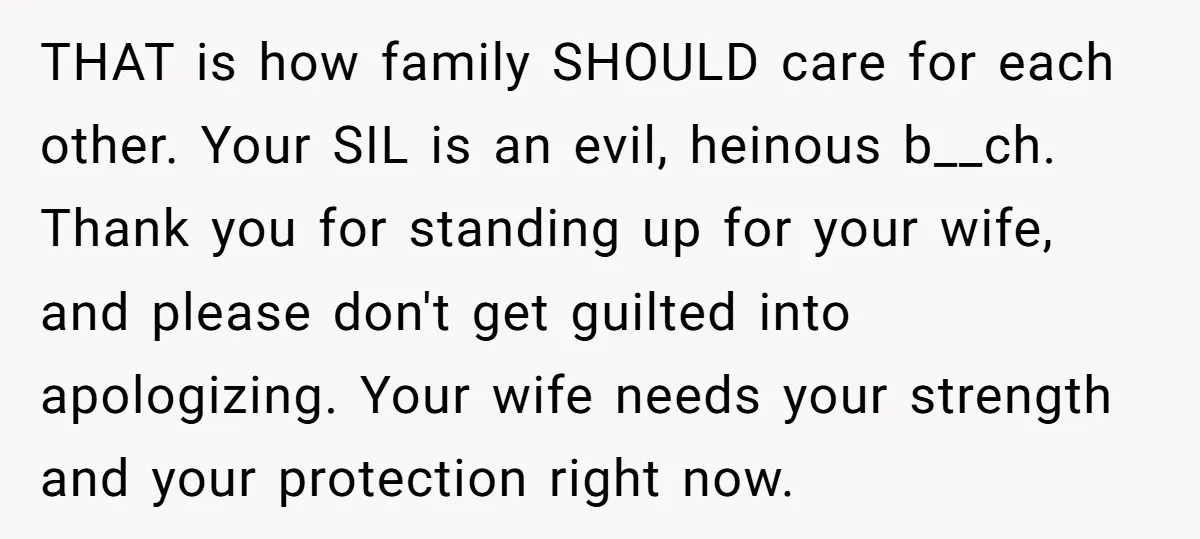 THAT is how family SHOULD care for each other. Your SIL is an evil, heinous b__ch. Thank you for standing up for your wife, and please don't get guilted into...