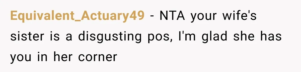 Equivalent_Actuary49 − NTA your wife's sister is a disgusting pos, I'm glad she has you in her corner