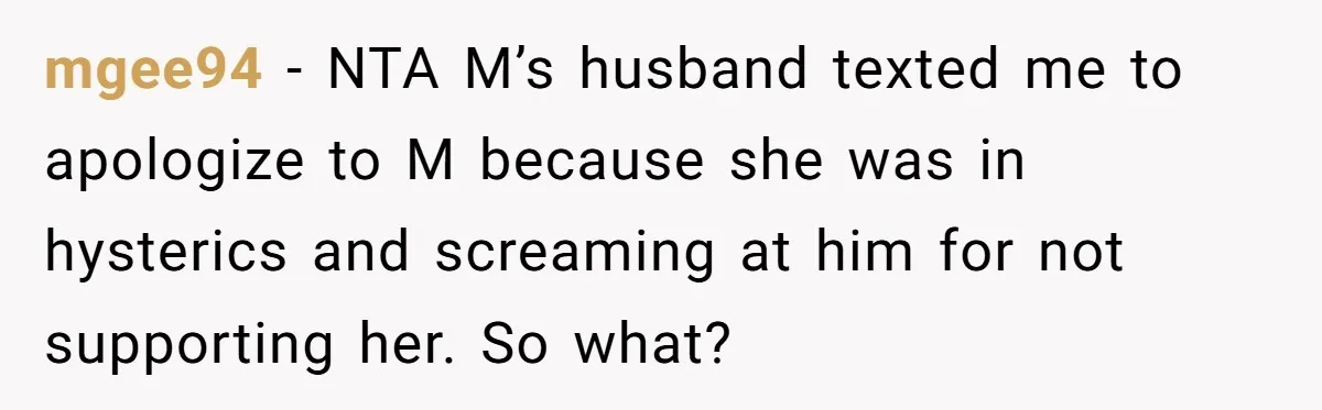 mgee94 − NTA M’s husband texted me to apologize to M because she was in hysterics and screaming at him for not supporting her. So what?