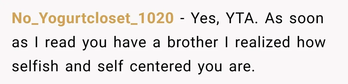 No_Yogurtcloset_1020 − Yes, YTA. As soon as I read you have a brother I realized how selfish and self centered you are.