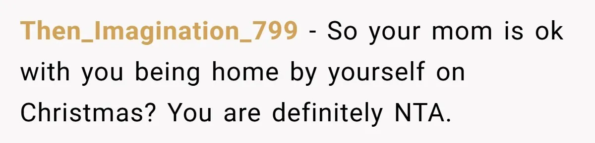 Then_Imagination_799 − So your mom is ok with you being home by yourself on Christmas? You are definitely NTA.