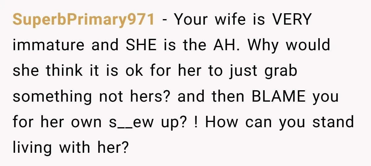 SuperbPrimary971 − Your wife is VERY immature and SHE is the AH. Why would she think it is ok for her to just grab something not hers? and then BLAME...