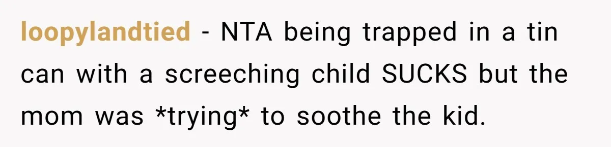 loopylandtied − NTA being trapped in a tin can with a screeching child SUCKS but the mom was *trying* to soothe the kid.