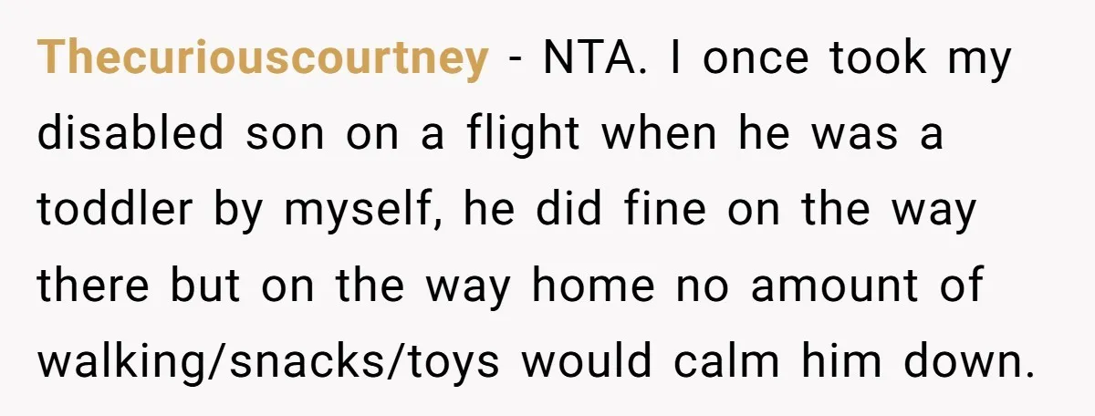 Thecuriouscourtney − NTA. I once took my disabled son on a flight when he was a toddler by myself, he did fine on the way there but on the way...