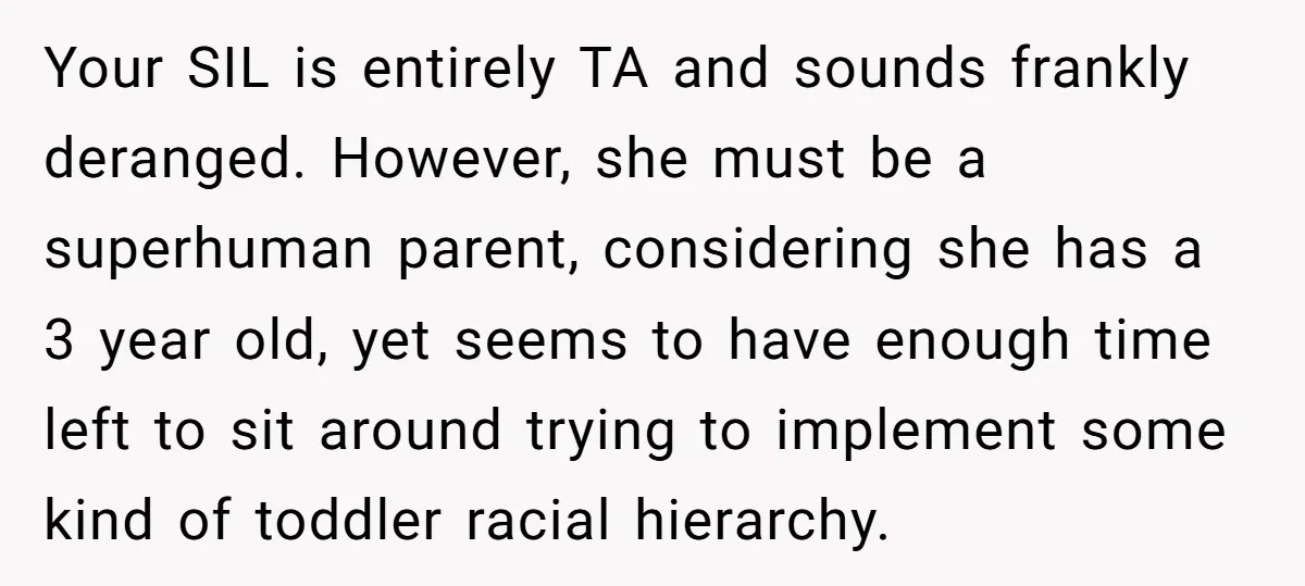 Your SIL is entirely TA and sounds frankly deranged. However, she must be a superhuman parent, considering she has a 3 year old, yet seems to have enough time left...