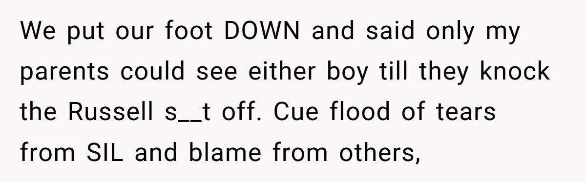 We put our foot DOWN and said only my parents could see either boy till they knock the Russell s__t off. Cue flood of tears from SIL and blame from...