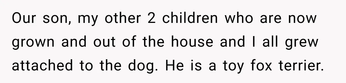 Our son, my other 2 children who are now grown and out of the house and I all grew attached to the dog. He is a toy fox terrier.