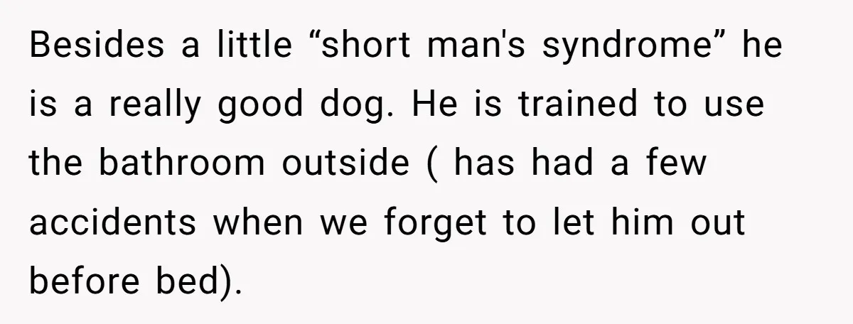 Besides a little “short man's syndrome” he is a really good dog. He is trained to use the bathroom outside ( has had a few accidents when we forget to...