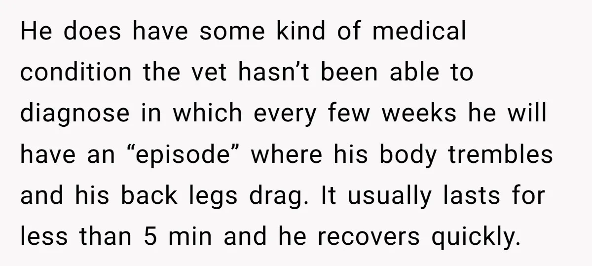 He does have some kind of medical condition the vet hasn’t been able to diagnose in which every few weeks he will have an “episode” where his body trembles and...