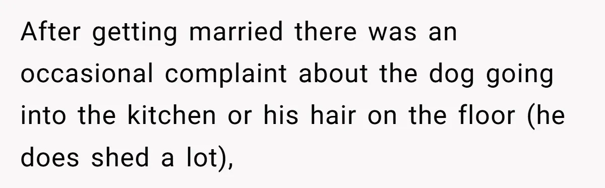 After getting married there was an occasional complaint about the dog going into the kitchen or his hair on the floor (he does shed a lot),