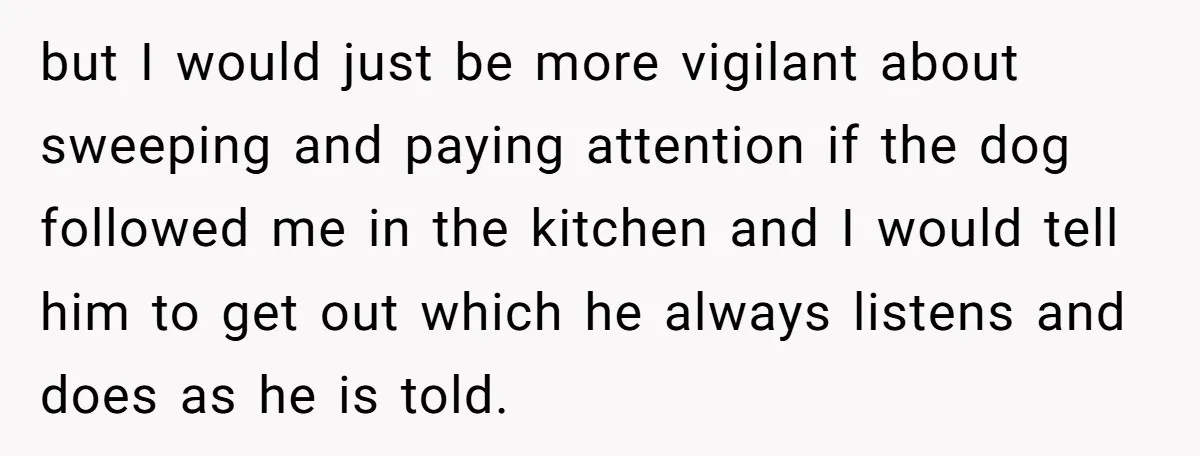 but I would just be more vigilant about sweeping and paying attention if the dog followed me in the kitchen and I would tell him to get out which he...